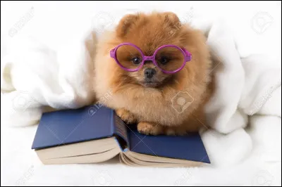 Quelle est ta mati&egrave;re pr&eacute;f&eacute;r&eacute;e ? (2)