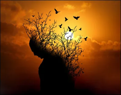 Est-ce que tu as eu (as) des difficultés dans ta vie ?