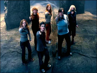 Quels sont les deux meilleurs amis de Harry Potter ?