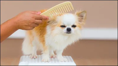 Parmi ces couleurs, laquelle est ta préférée ?