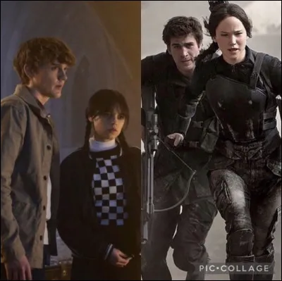 Il y a cette citation « Une coïncidence, ce nest quune coïncidence, deux sont un indice et trois sont une preuve. »