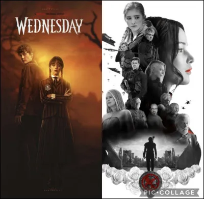 La série existe en plusieurs livres.