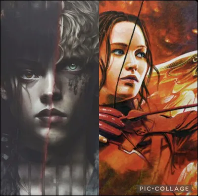 Le gouvernement est une dictature séparant le pays en treize districts.