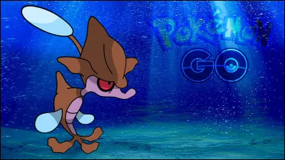 Quel est ce Pokémoche ?