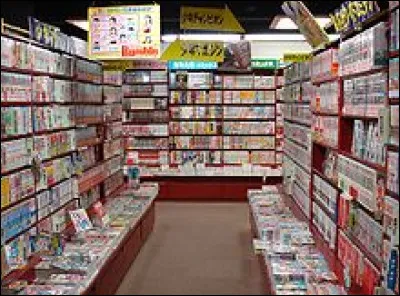 Comment s'appelle la sorte de manga &agrave; caract&egrave;re pornographique ?