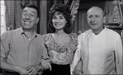 Quel est le seul film dans lequel il donne la réplique à Bourvil ?