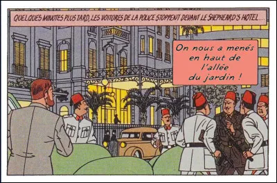 Pendant que d'autres descendent au jardin : pour y cueillir du romarin, peut-être ?