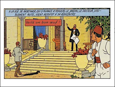 Et si ça se trouve, on va encore faire allusion à Christophe Colomb ! À votre avis, que veux dire ce barbu ?