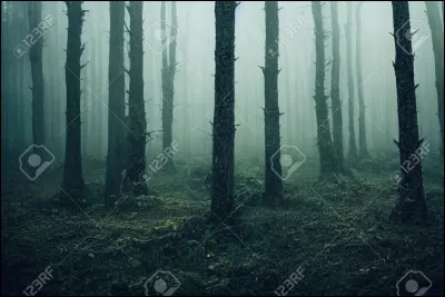 Qui ne fait pas partie de la Forêt Sombre ?