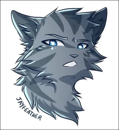 Comment Petit Geai est-il devenu aveugle ?