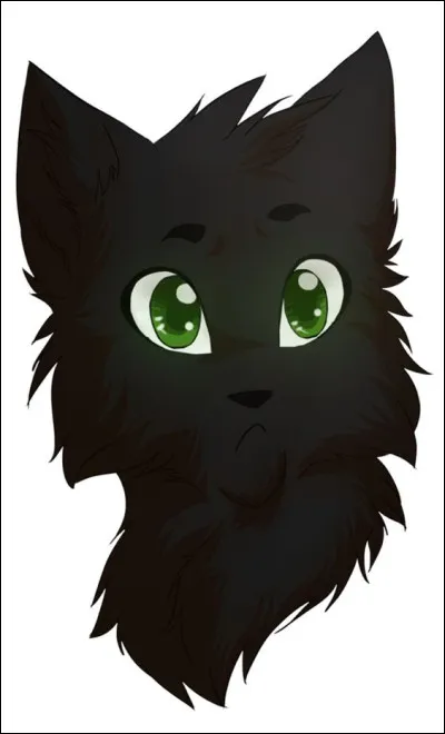 Quel est le pouvoir de Feuille de Houx ?