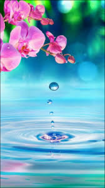 Lequel de ces signes est un signe d'élément eau ?