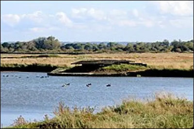 Comment s'appelle un abri construit sur le domaine maritime ou dans les marais c&ocirc;tiers par des chasseurs pour la chasse de nuit du gibier d'eau (anatid&eacute;s et limicoles) ?