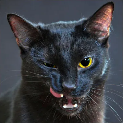 Quelles sont les trois déesses personnifiant la Lune dans la mythologie grecque ?