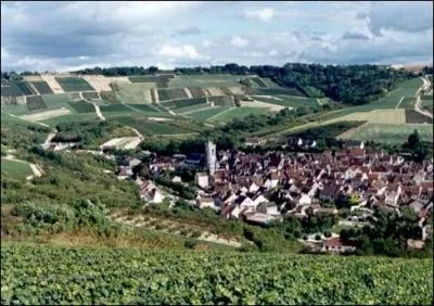 Dans le petit village d'Irancy ( Yonne ), on rencontre de nombreux :