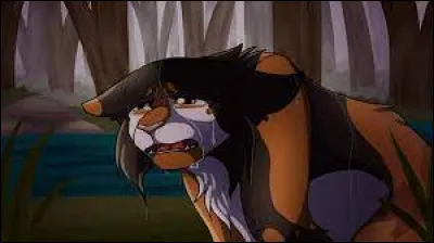 À cause de qu'elle chat doit t'elle quitté sont clan ?