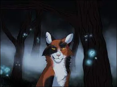 Va-t-elle au clan des Étoiles ?