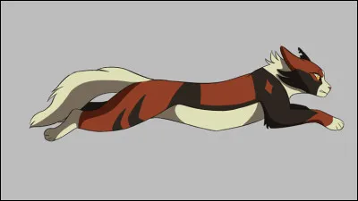 Comment sappellent-ils ?