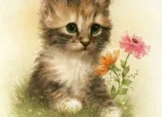 Quiz Connais-tu bien le chat ?