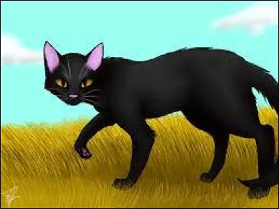 Dans quel clan est Patte Folle ?