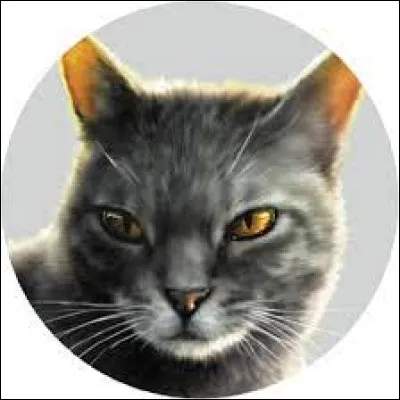 Et enfin, Aile de Faucon est dans le...