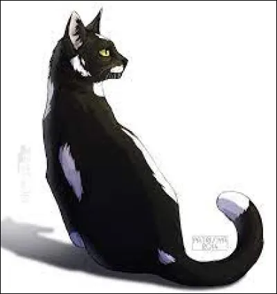 Et il de Crapaud, dans quel clan est-il ?