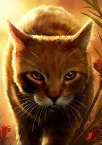 Dans quel clan est Cur d'Aulne ?