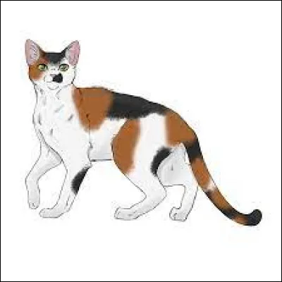 Et Cur de Girofle est dans le...