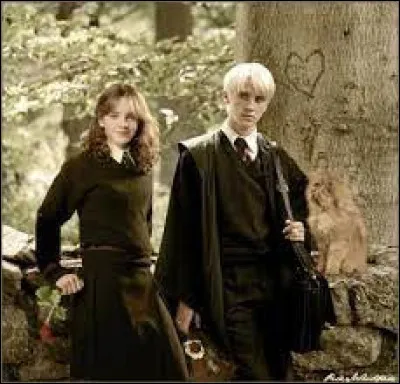 Parmi ces propositions, avec qui Hermione est-elle sortie ?