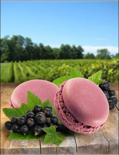 Quel est le parfum de ces macarons ?