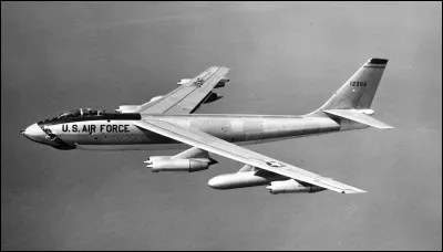 En quelle année est né Michel Sardou ?