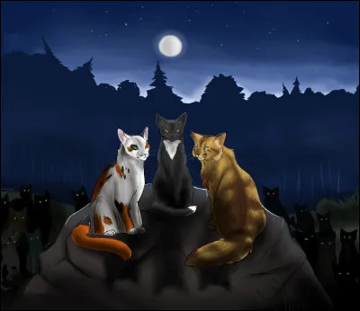 Où se passe la première Assemblée autour du lac ?