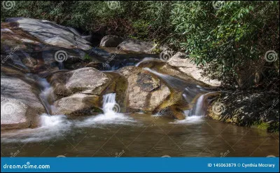 Qui tombe dans une rivière ?