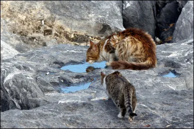 Quels membres de la Tribu de l'Eau Vive rencontrent-ils en premier ?