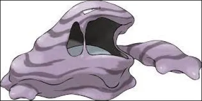 Quel est ce Pokémoche ?