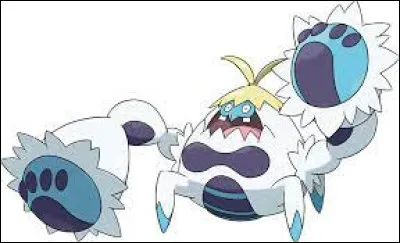 Quel est ce Pokémoche ?