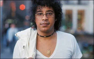 Quel était le nom du premier groupe de Laurent Voulzy ?