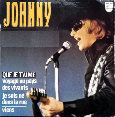 Quelle est cette chanson d'amour de 1969, interprétée par Johnny Hallyday ?