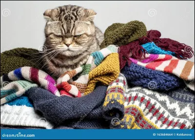 Que portes-tu le plus ?