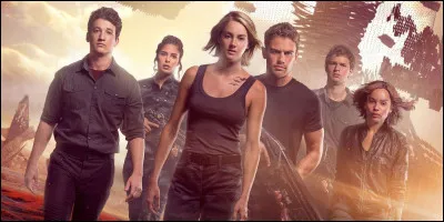 Avec quel type de personne ne pourrais-tu pas être ami ?