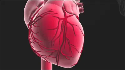 Tu tombes amoureux/amoureuse d'une personne...