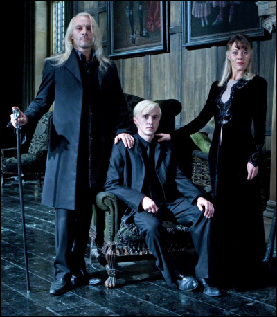 Quel est ton statut de sang ?