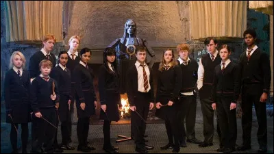 Pour apprendre des sorts en cachette, l'armée de Dumbledore se réunissait dans la salle sur demande (5e année).