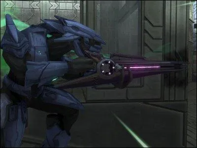 Qu'est-ce que les covenantes ?