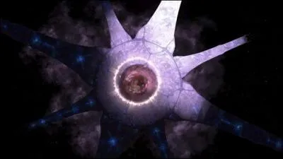 A quoi sert principalement l'Arche ?