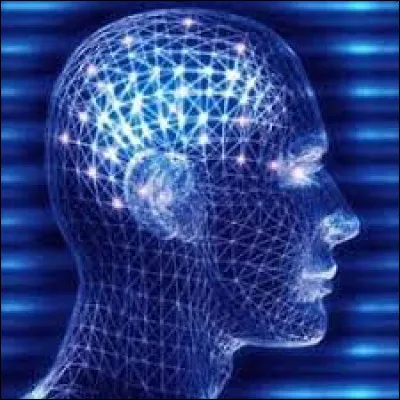 De quels mots les signes QI sont-ils labréviation ?