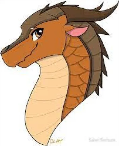 Connais-tu un Aile de Boue qui possède des écailles à l'épreuve du feu ?