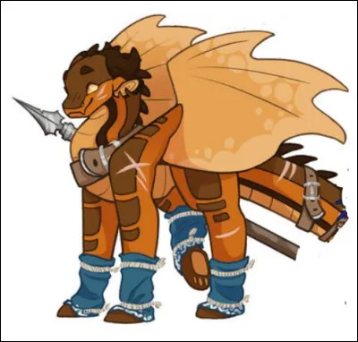 Quelle image t'attire le plus ?