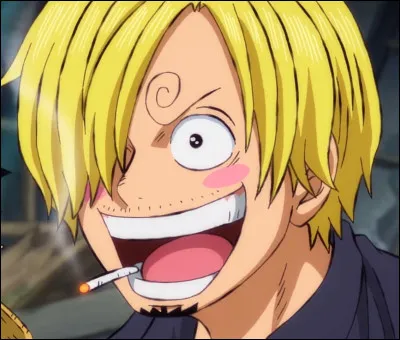 Quel est le métier de Sanji ?
