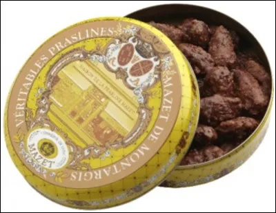 La ville célèbre pour ses pralines, c'est Montargis.